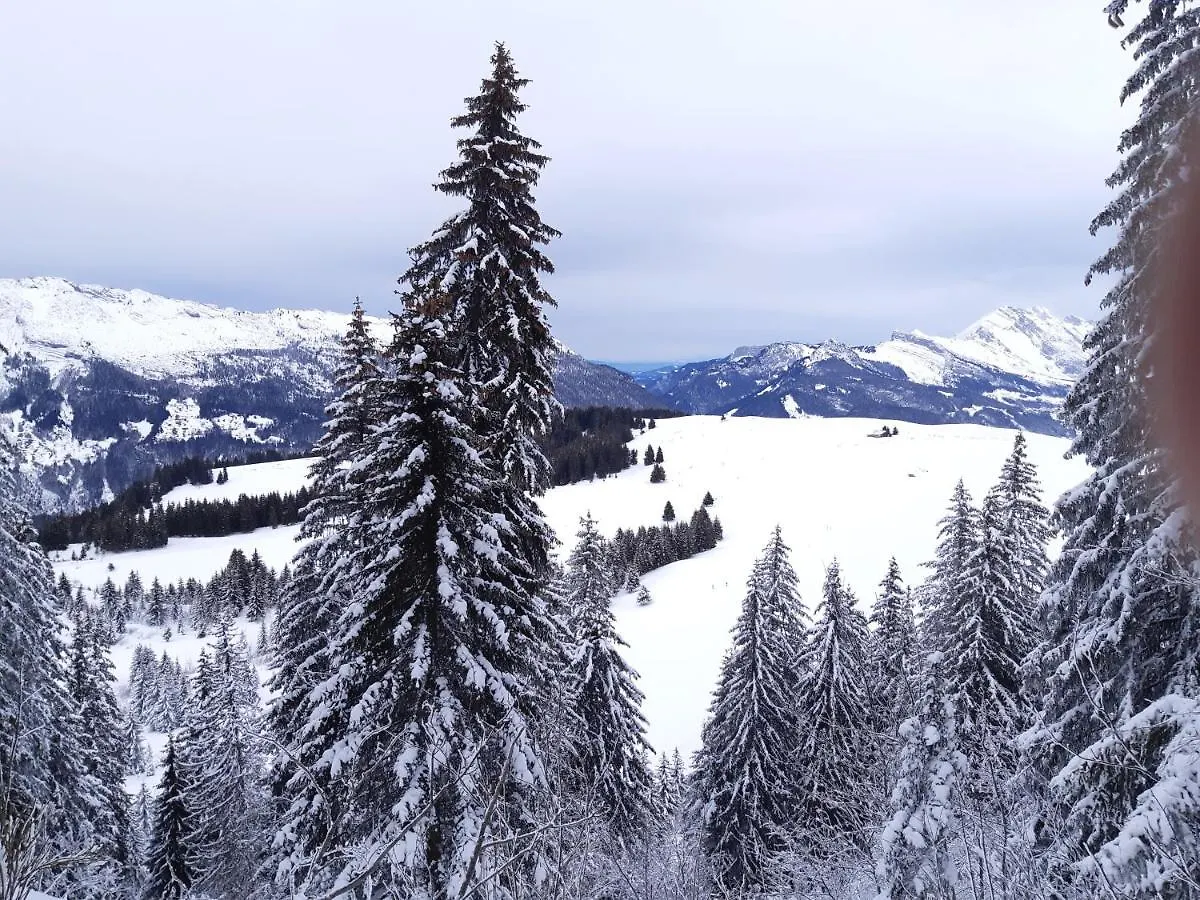 Appartamento Le Soladret - 2 Pieces 4 Etoiles - Vue Extraordinaire Sur Les Aravis La Clusaz
